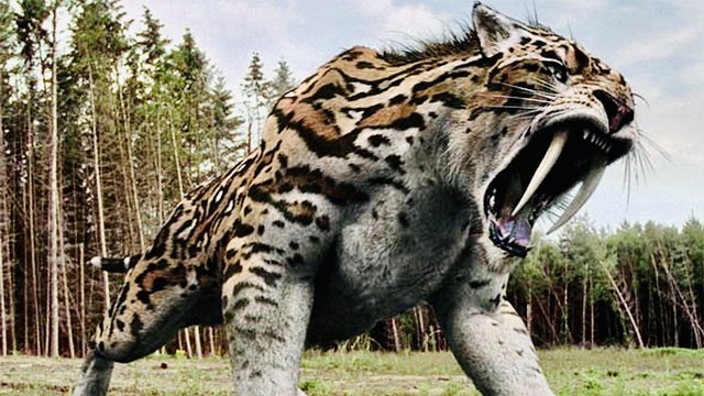 Saber-Tooth Tiger -Prehistoric Predator - Full Documentary