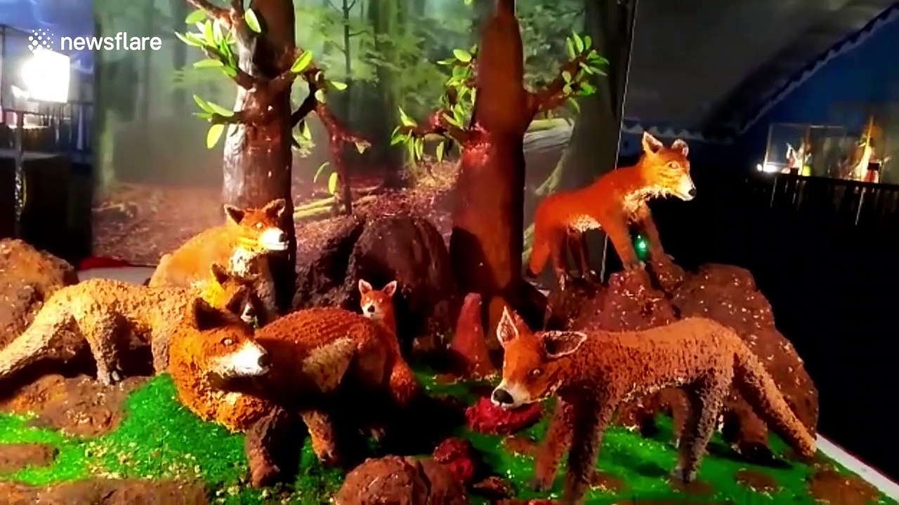 Annual cake show in India boasts spectacular baked King Kong and St Basil's Cathedral displays