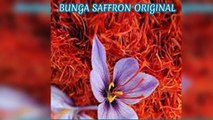 ORIGINAL !! WA :  62 812-3252-2251 (Tsel),Jual Bunga Saffron Samarinda Aceh,