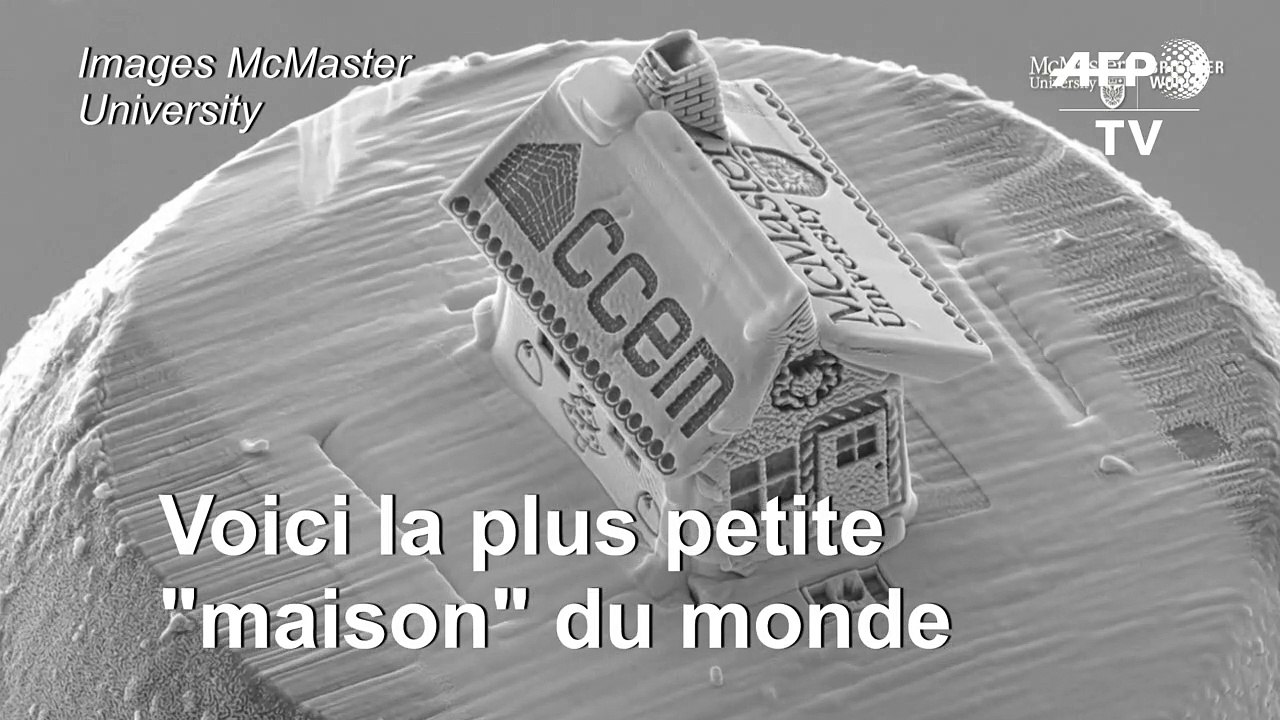 La plus petite "maison" du monde... plus petite qu'un cheveu !
