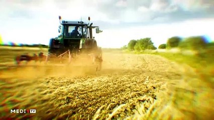 يوميات الفلاح - 19/12/2019