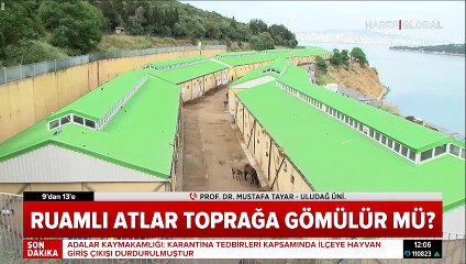 Ruam hastalığı nedir?