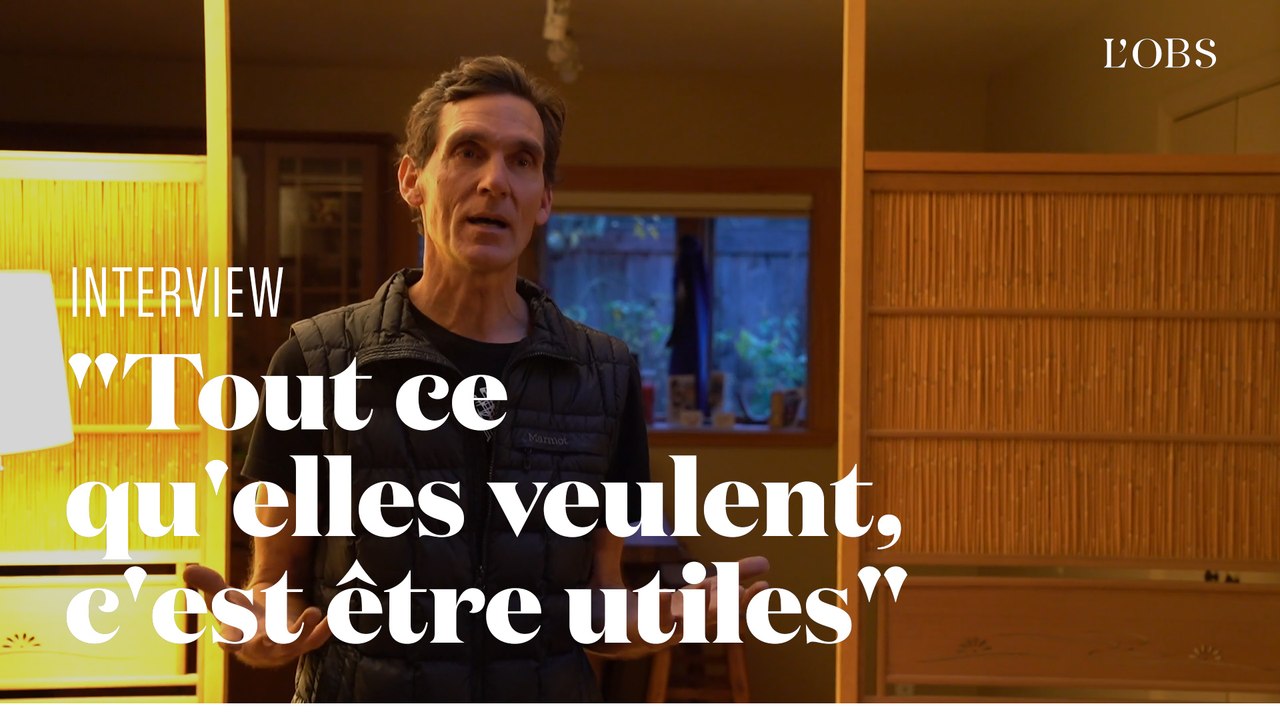 Pourquoi les abeilles peuvent sauver l'humanité : un apiculteur explique sa thèse en deux minutes