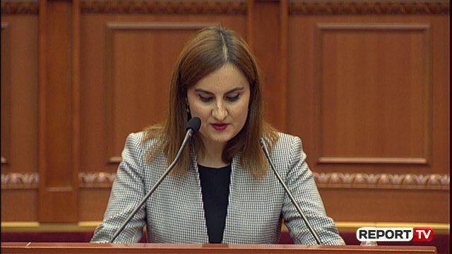 Dhimitri: Sot s'duhet të flisnim për 'Anti Shpifjen', por për të prekurit nga tërmeti...neveritëse