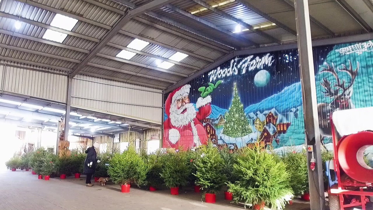 The Perfect Festive Fir!