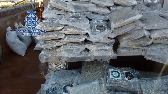 Detenido el conductor de un camión con 200 kilos de cogollos de marihuana