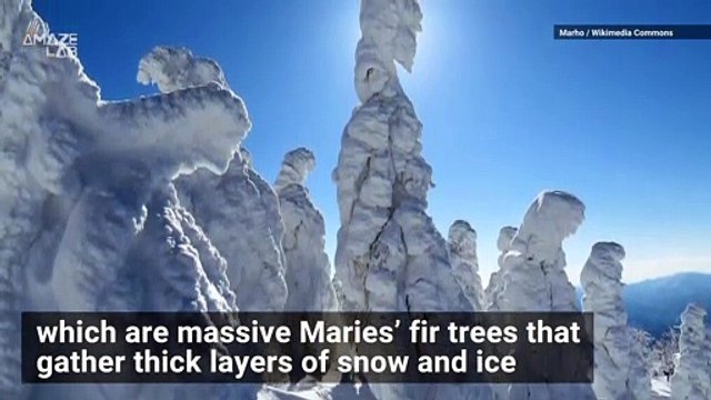 'Snow Monsters' Take Over a Ski Resort in Japan Every Winter