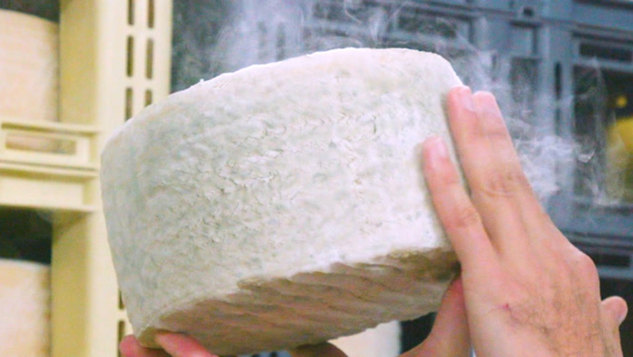 How Spanish manchego cheese is made at a 200-year-old dairy