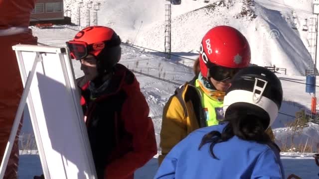 Alp Disiplini Uluslararası Murat Dedeman FIS Kupası