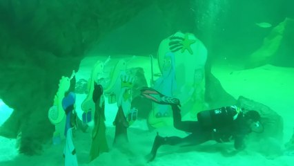 Los tiburones ya tienen su Belén en el Zoo de Madrid
