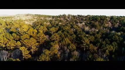 HELL ON THE BORDER - Exclusive Trailer (2019) - Ron Perlman, Frank Grillo, David Gyasi