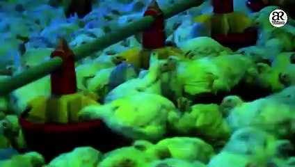 An Inside analysis of Intelligent Technology Smart Farming