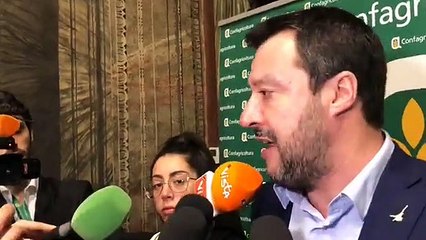 MATTEO SALVINI SULL' AUTORIZZAZIONE AL PROCESSO "DI MAIO PICCOLO UOMO"