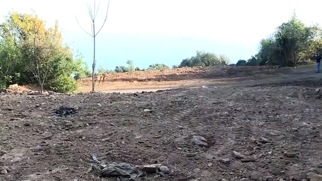 Adalar'da ruam hastalığına yakalanan 81 at itlaf edildi