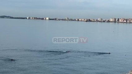 Report TV - Vlorë- Plazh në Dhjetor, 'notarët' e dimrit sfidojnë temperaturat e ftohta