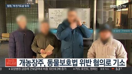 법원, '전기로 개 도살' 유죄…"잔인한 방법"