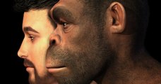 Homo erectus : cette espèce humaine a survécu bien plus longtemps qu'on ne le croyait