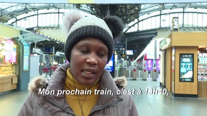Grèves: dans une gare de l'Est presque vide, les voyageurs s'adaptent