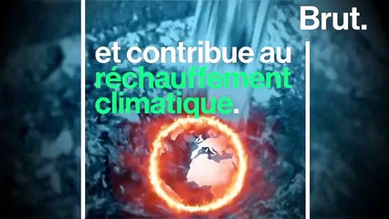 Les trottinettes électriques en libre-service sont-elles vraiment écologiques ?