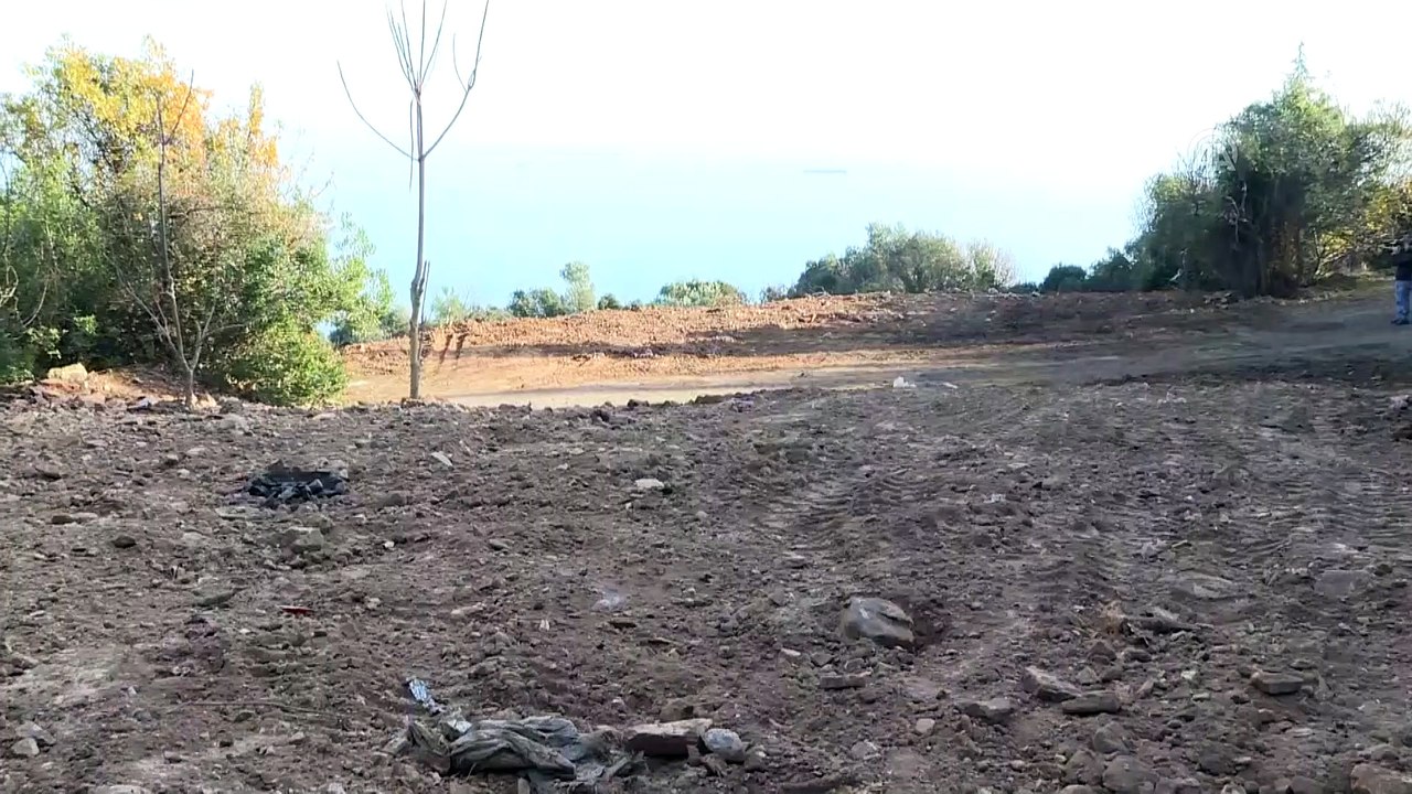 Adalar'da ruam hastalığına yakalanan 81 at itlaf edildi - İSTANBUL