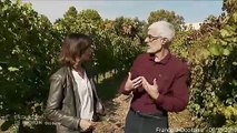 Le changement climatique, un enjeu majeur pour le secteur de la vigne et du vin