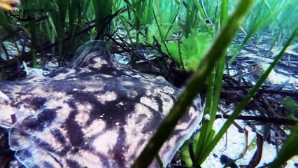 Boğazın Derinlikleri 4  |  Kız Kulesi  |  Kasım 2019 İstanbul