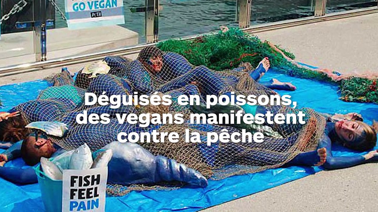 Des vegans se peignent en bleu pour imiter des poissons morts dans les filets de pêche