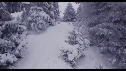 Lucian Dragan Jr. - Hai gazda deschide poarta COLINDE NOI