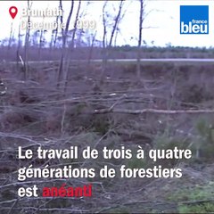 Tempête du 26 décembre 1999 en Alsace, un agent de l'ONF raconte