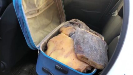 44 kilo 320 gram akamber ele geçirildi - MERSİN