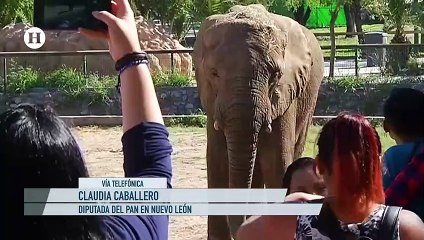 Legítima defensa en Nuevo León no es una licencia para matar: diputada