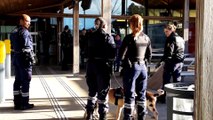 Contrôle coordonné de la gendarmerie et des douanes en gare Meuse TGV