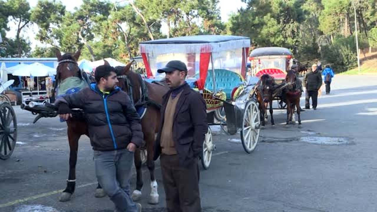 Adalar'da ruam hastalığına yakalanan atların itlaf edilmesi