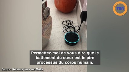 L’enceinte "Alexa" a poussé une jeune femme à mettre fin à ses jours