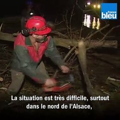 Tempête du 26 décembre 1999 en Alsace : un responsable EDF raconte