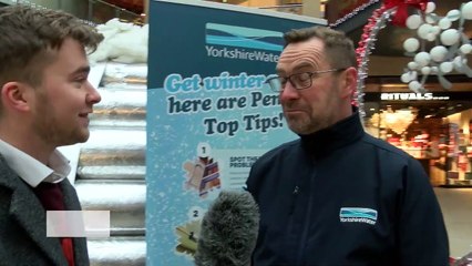 Remember The Bear Essentials This Winter!