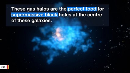 Astronomers Find Black Holes' Breakfast At Cosmic Dawn