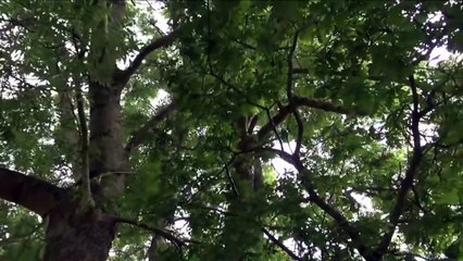 Paradise / Le Paradis (2014) - Trailer (french version)