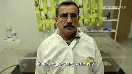 (NSFW) Still Life: Reviving the Dead With DIY Forensics (Trailer)