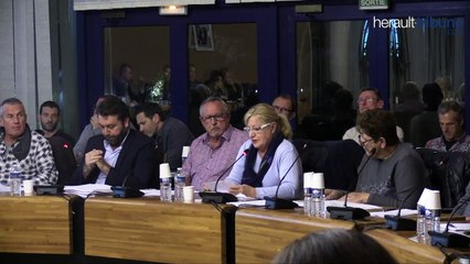 AGDE - Budget de l'annexe de l'Ile des Loisirs