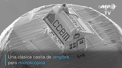 Una casita de jengibre microscópica