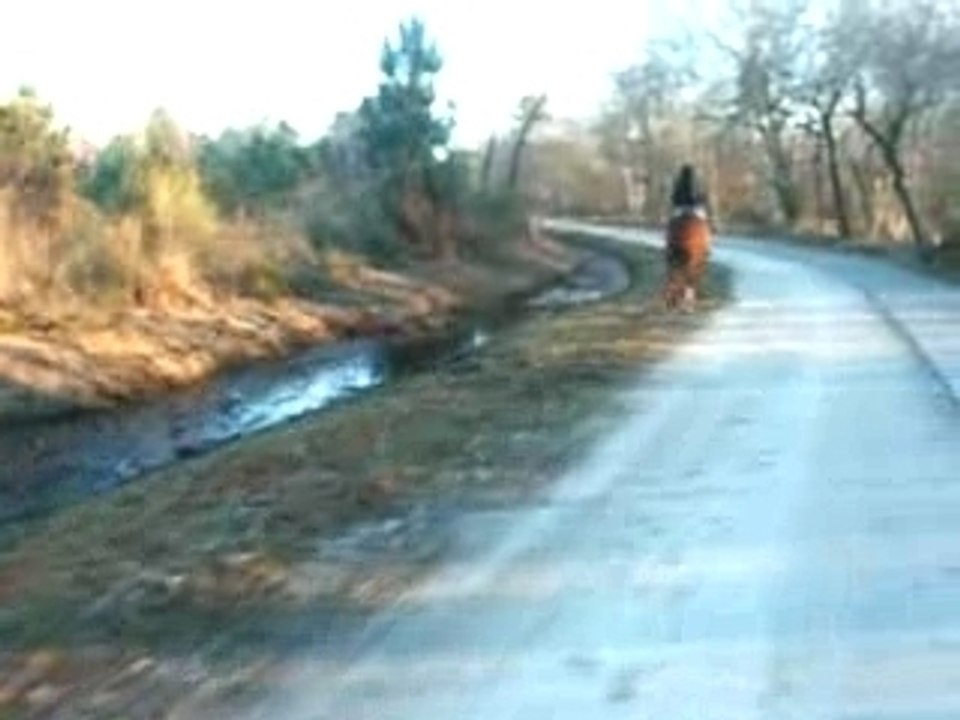 Balade modem yellow 036