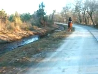 Balade modem yellow 036