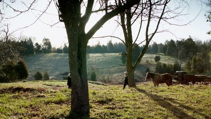 Beverly Lewis' The Confession: DVD Trailer