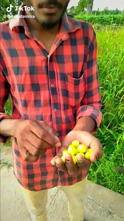 Top Tik Tok Video just like Lough || TikTokers 420