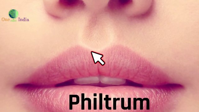 पूरी दुनिया में लगभग 1000 तरह के केले पाए जाते हैं। | Did You Know These Amazing Facts | One India