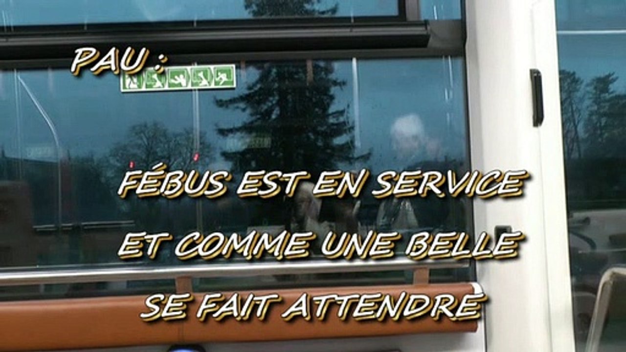 LES W-D.D. MICHOU NEWS -  17 DÉCEMBRE 2019 - PAU - FÉBUS EST EN SERVICE ET COMME UNE BELLE SE FAIT ATTENDRE