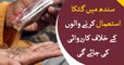 Sindh govt to start crackdown against Ghutka