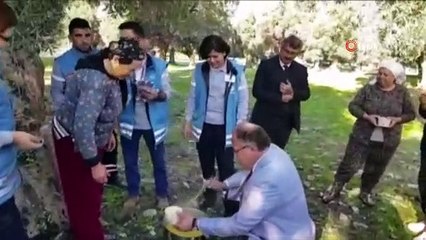 Zeytin hasadı yapanlara çay, çorba, pide ve ayran ikramı