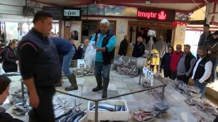 İzmir 1 kilo balon balığı getirene 5 tl ödenebilir